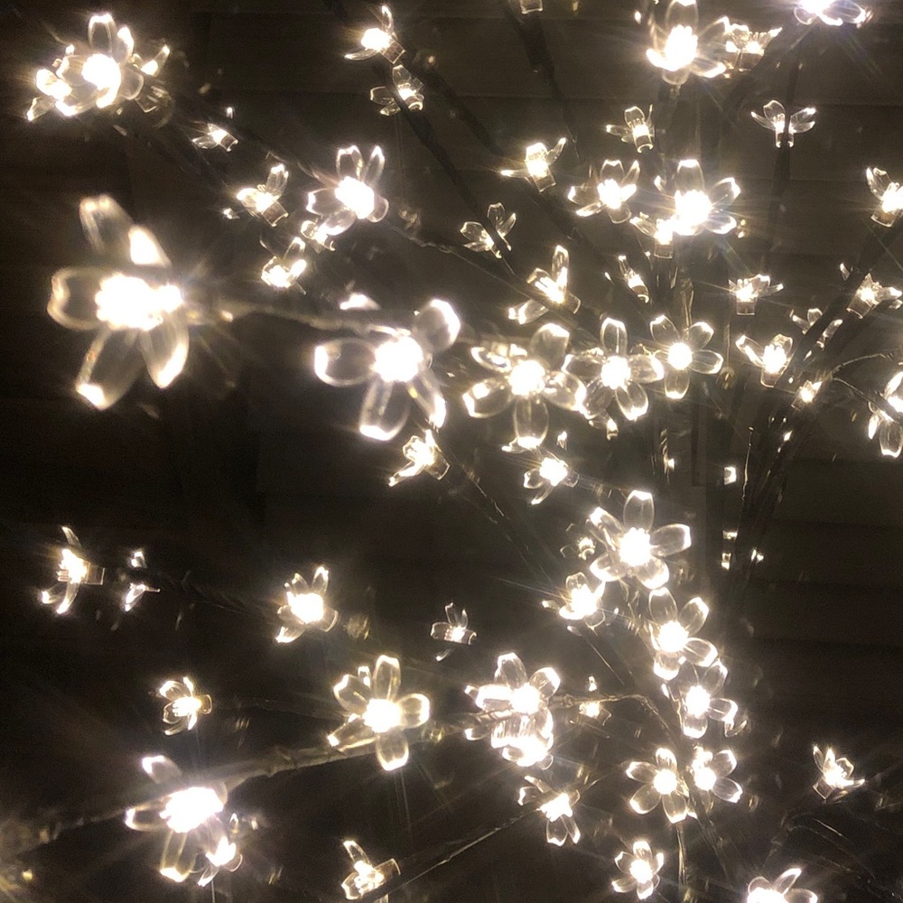 Meet your Posher, Jacqueline